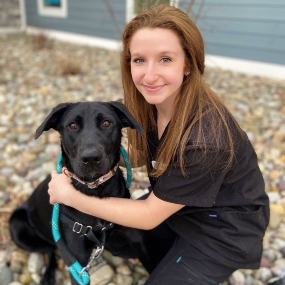 Review Us Summit Bridge Veterinary Hospital