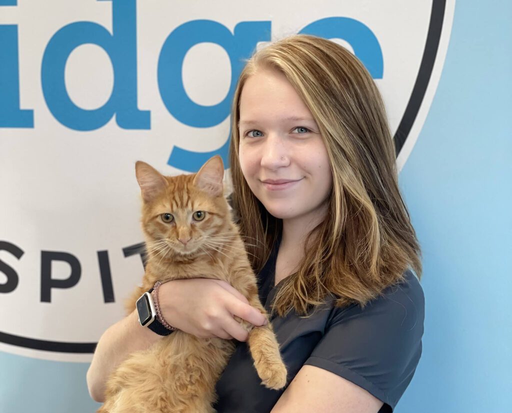 Cat and Dog Boarding in Bear, DE Summit Bridge Veterinary Hospital