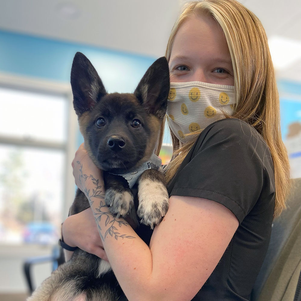 Young Employee Holding Puppy